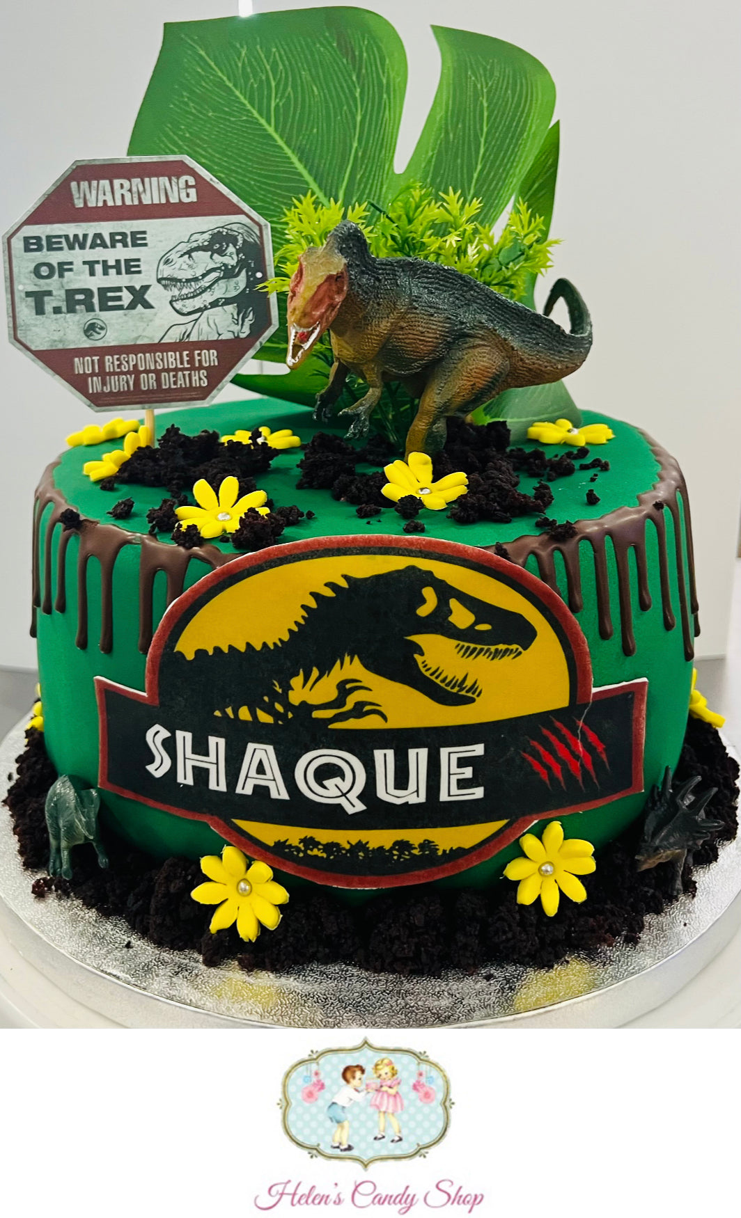 Dinosaur Themed Celebration Cake