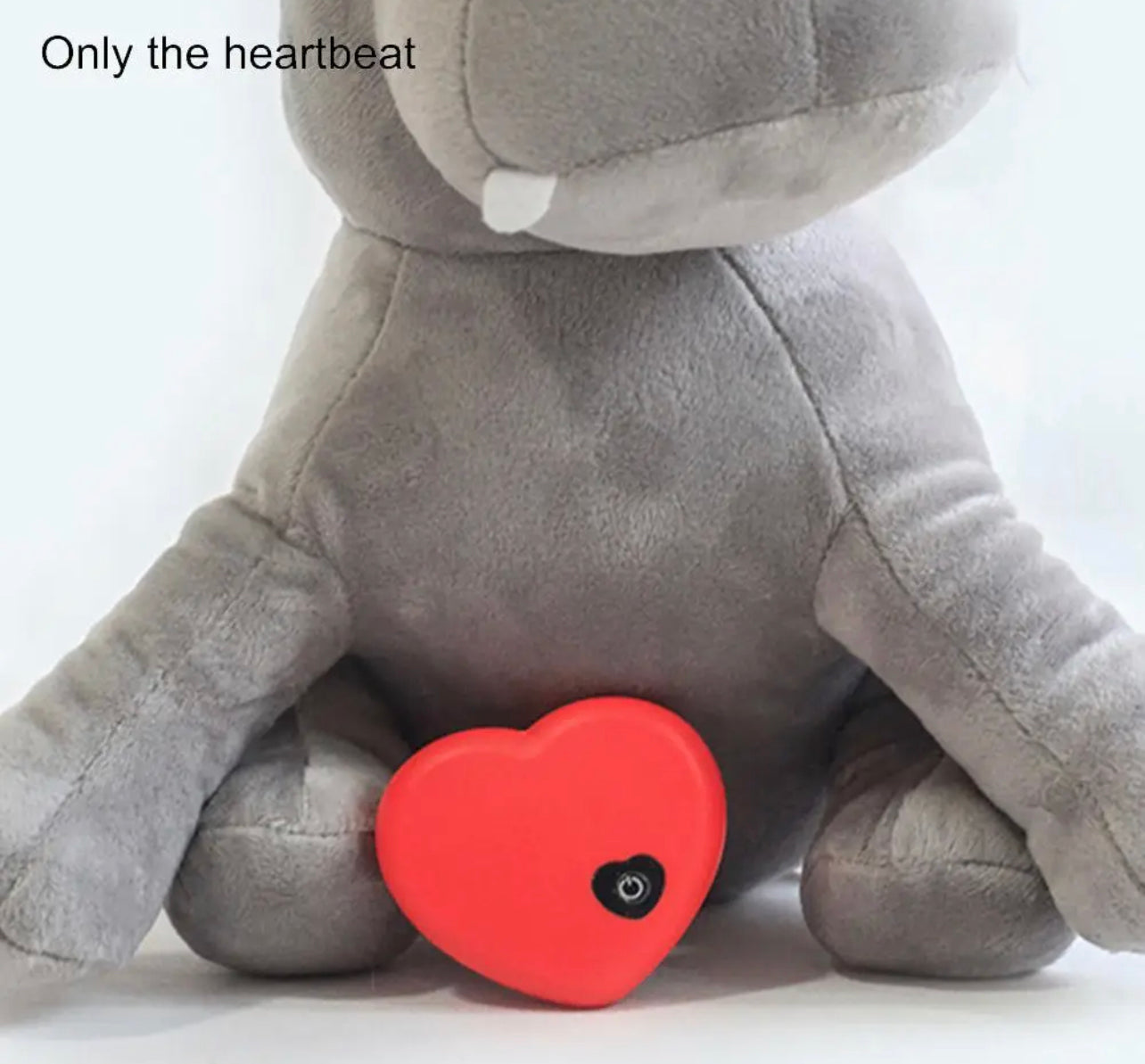 Magical Heartbeat for your Teddy